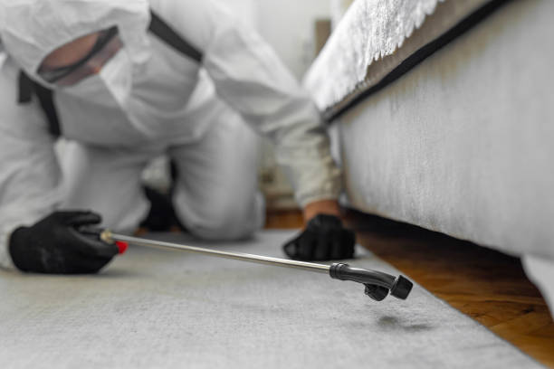 Professional Ant Control technician working in Bellefontaine, OH