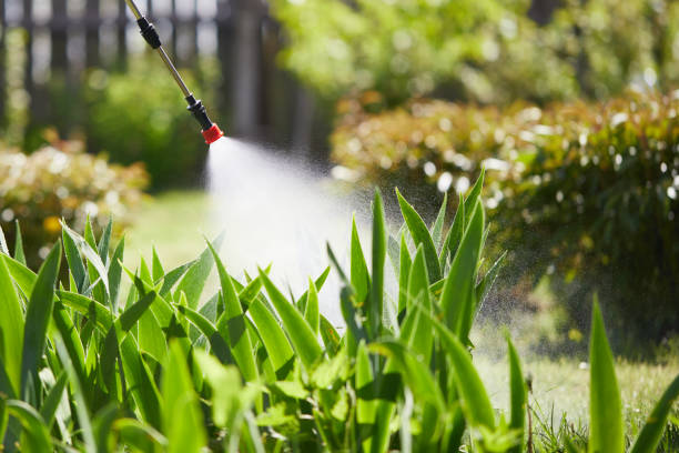 24/7 Emergency Ant Control experts in Bellefontaine, OH